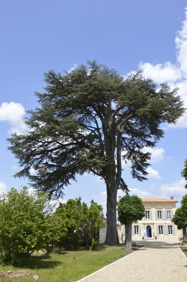 Hotel Chateau Nardon Crimon Saint-Christophe-des-Bardes Esterno foto